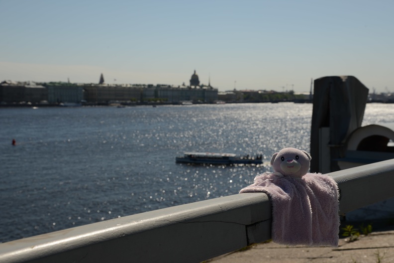 Bear - Neva River - St_ Petersburg_ Russia.JPG